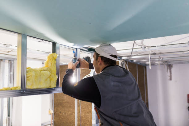 Best Eco-Friendly Insulation in Farmville, NC