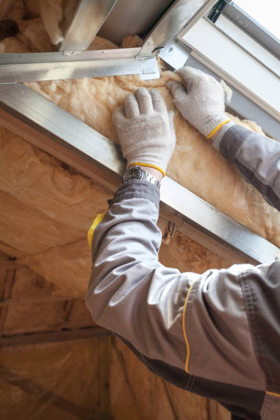 Best DIY Insulation Kits and Guidance in Farmville, NC