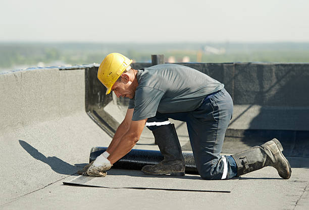 Best Insulation Maintenance and Repair in Farmville, NC